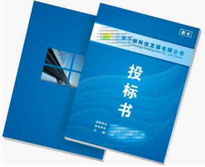 項目標書翻譯多少錢，標書翻譯公司報價